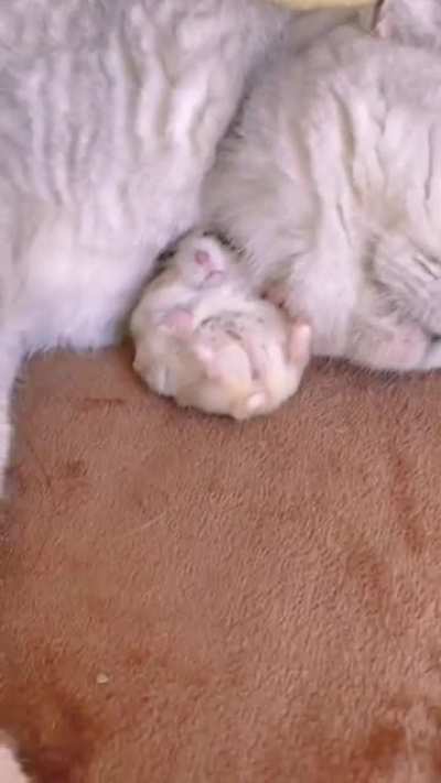 they're good friends 💕