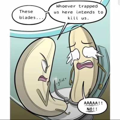 Wait for the right moment