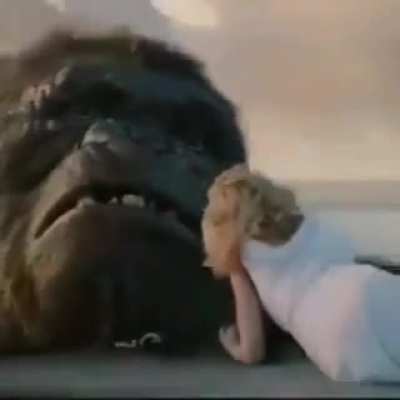 Macaco