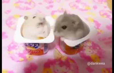 Isso que acontece quando você rouba a comida do amiguinho