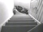 cursed_tumble