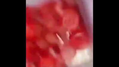 Gummy