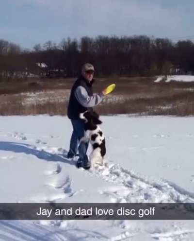 My Dad’s dog LOVES disc golf