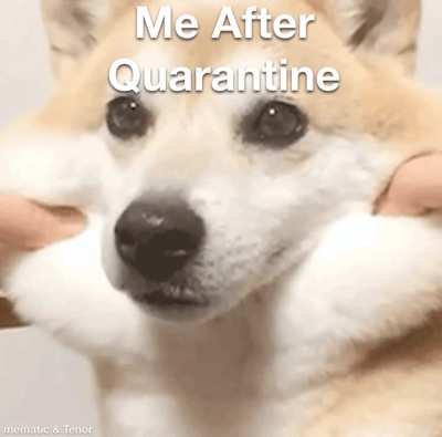 It’s the Sad Truth