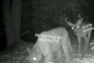 27 days remaining. I hear them bouncing softly behind me but I must not look
