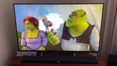 Shrek 2 was on TV. Couldn’t let this one go to waste, it’s a classic