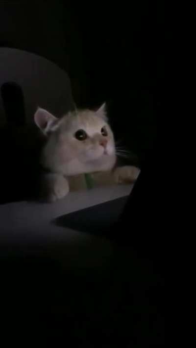 What did you do, human?!