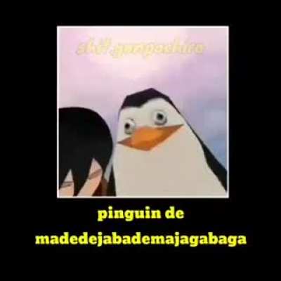 Esse é o pinguim?