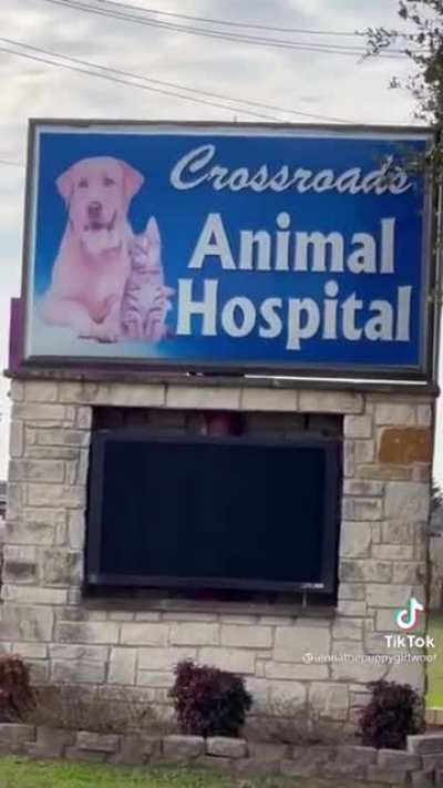 She does not have a dog, yet.