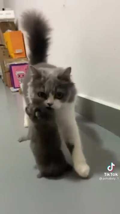 Your daily dose of cute.