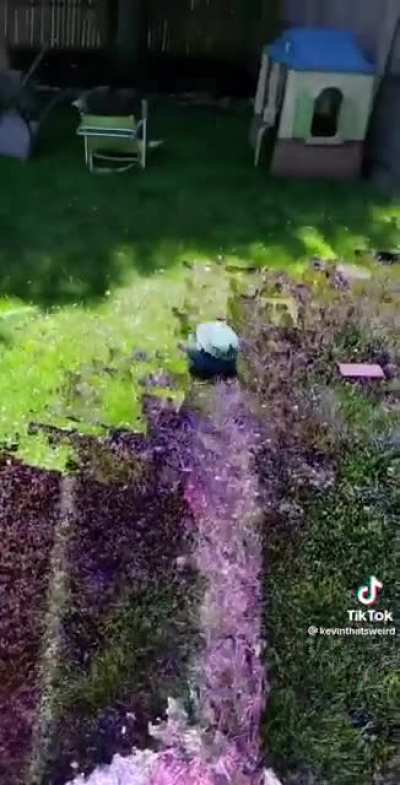 Trippy, but relaxing somehow?