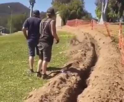 they work hard to free the kangaroo from the ditch and then...