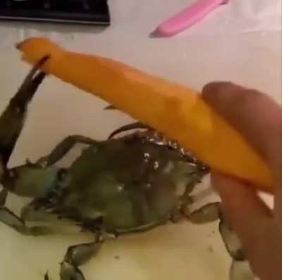 Frank