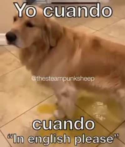 XD