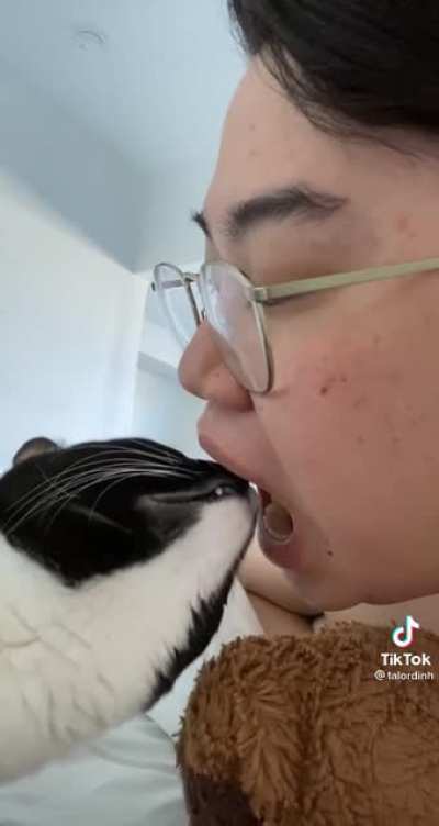 C A T