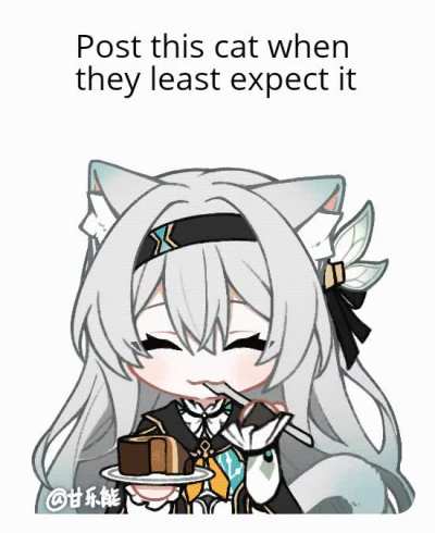 Catmd.e