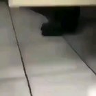 Eeeey