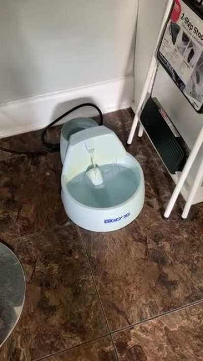 THIS water is better…