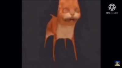 Noo