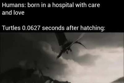 Godspeed little ones