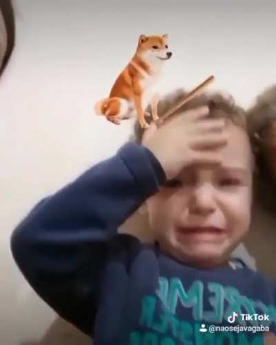 o chat quando o Cellbit bate na câmera