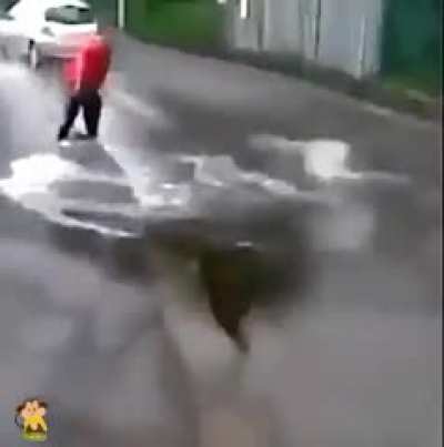Totally Expected You’d Think