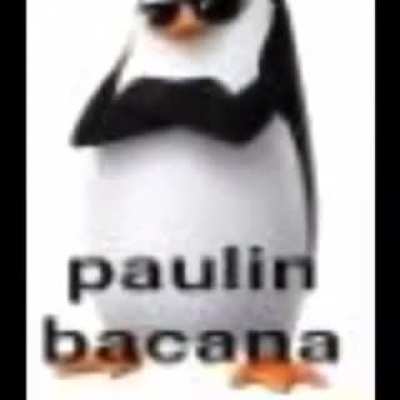 paulin bacana 😎
