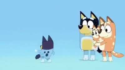 Furry_irl