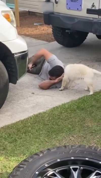 Will you pay me some attention!