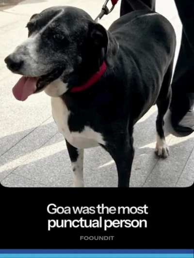 Sir Ratan Tata's Pet 'GOA'