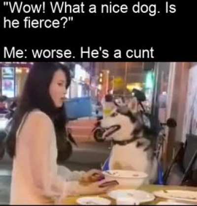 Still a good boi