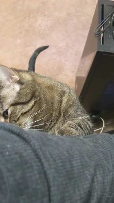 Several times a day when I'm working from home