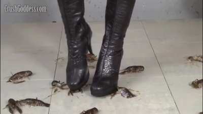 Jocelyn Crawdad Crush with Boots