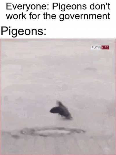 They know who made them.