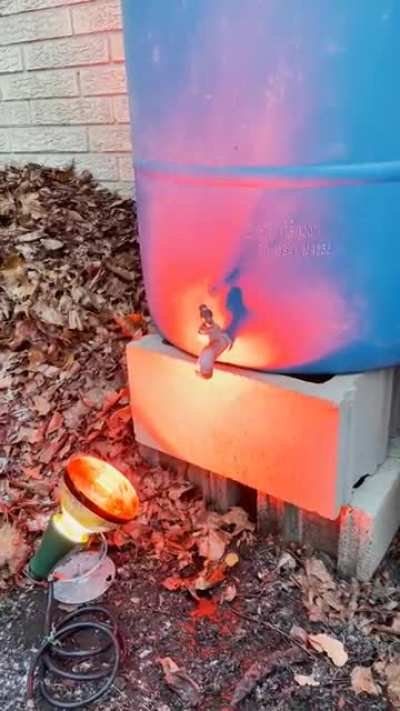 Current self is not too happy with past self for not emptying the rain barrels when it was warm, and before they started to freeze up.