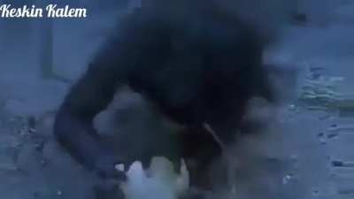 AKP'den önceki Türkiyec