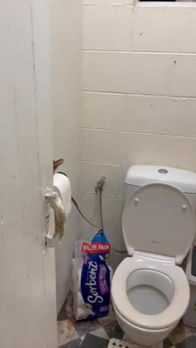 To use the toilet