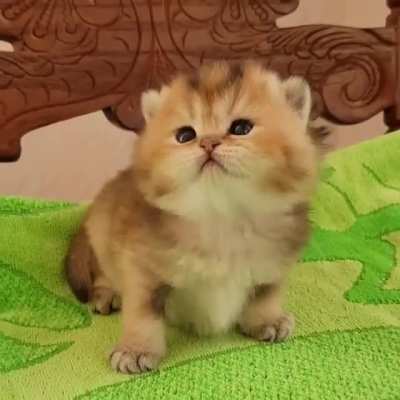 Such a cutie pie