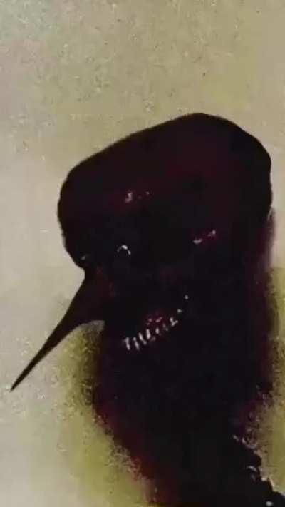 Please stay quiet
