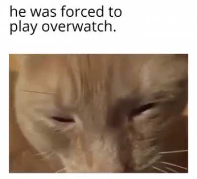 not overwatch NOOO