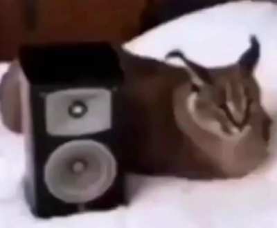 eu_nvr