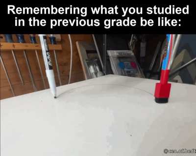 School life in a nutshell