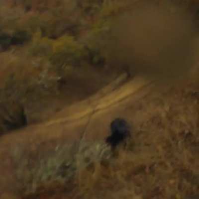 This is why you shouldn’t hunt turkeys on a steep hill. Mistakes were made.