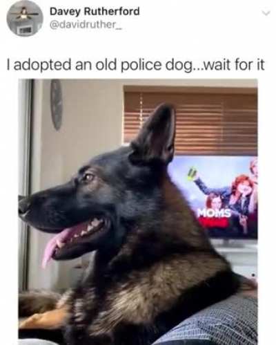 Retired Bork Bork Nom Nom doesn't like cocaine.