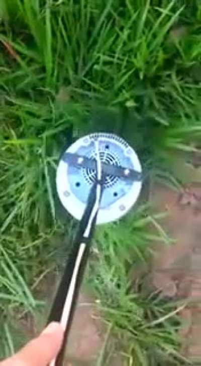 Sobra grama mas falta grana? Eis aí a solução!