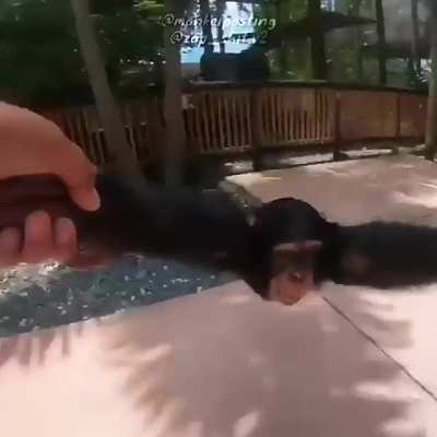 Uma experiência única aproveite