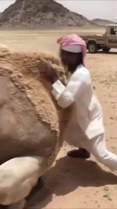 Just helping out