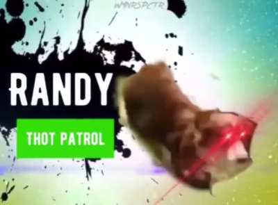 RANDY