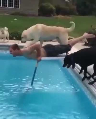 Doggo Helping Hooman
