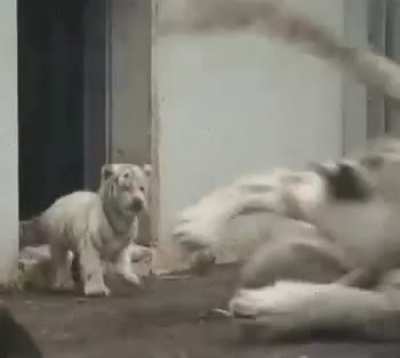 Mom! oh sorry